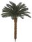 4.5 to 8.5 Feet Tall x 68 Inch Width - Polyblend Cycas Palm Trees using A-1180 Branch Polyblend UV Protected Foliage