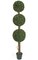 60" Plastic Boxwood Topiary - Synthetic Trunk - Tutone Green - Weighted Base