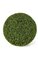 24 inches Plastic Outdoor Boxwood Ball - Traditional Leaf - Tutone Green