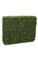 35 inches x 11 inches x 30 inches Plastic Boxwood Hedge - New Style Leaf - Tutone Green