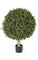 24 inches Plastic Outdoor Boxwood Ball Topiary - Natural Trunk - Tutone Green Leaves - 20 inches Diameter - Weighted Base