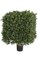 18 inches x 25 inches Plastic Outdoor Boxwood Square Topiary - Natural Trunk - 18 inches Width - Tutone Green -