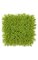 10 inches Plastic Boxwood Mat - 3 inches Height - Light Green