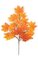33 inches Sugar Maple Branch - 18 Leaves - Red/Orange/Yellow