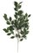 41" Ficus Branch - 101 Leaves - Green