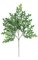 27" Small Pin Oak Branch - 81 Leaves - Green