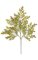 27 inches Small Pin Oak Branch - 81 Leaves - Green/Brown