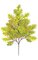 29 inches Pin Oak Branch - 54 Leaves - Light Green/Yellow