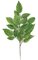 29 inches Alder Branch - 21 Leaves - Green