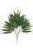 26 inches Ficus Alii Branch - 45 Leaves - Green