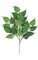 31 inches Bo Ficus Branch - 24 Leaves - Green