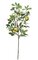 43" Frosted Apple Branch - 132 Leaves - 5 Apples - Green