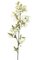 Cherry Blossom Branch - 53 Leaves - 49 Flowers - 22 Buds - White
