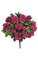 17" Azalea Bush - 508 Leaves - 12 Flowers - 29 Buds - Beauty