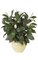 44" Spathiphyllum Bush - Soft Touch - Natural Trunk - 116 Green Leaves - 20 Cream/Green Flowers