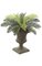 19" Plastic Cycas Palm Cluster - 14 Fronds - 29" Width - Tutone Green - Bare Stem