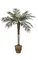 5' Phoenix Palm - Synthetic Trunk - 15 Fronds - Green - Bare Trunk