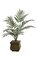 7' Kentia Artificial Palm Tree - 12 Fronds - Green