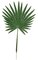32 inches Fan Palm Leaf - Dark Green 19 inches wide