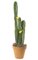 40 inches Plastic Column Cactus - 2 Flowers - Green - Bare Stem