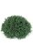 8.5 inches x 4.5 inches Plastic Coral Half Ball - 46 Green Leaves