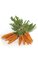 Foam Mini Carrot with Leaves - 3 inches Carrot - Orange - 6 Pieces per Bag