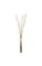 43 inches Plastic Thorn Twig Bundle - 6 Beige/Brown Stems Wrapped with Raffia