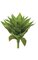 13" Plastic Agave Plant - 25 Green Leaves - 13" Width - Bare Stem