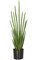 36.5 inches Cylindrica Sansevieria Plant - Natural Touch - 20 Leaves - Green