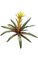 21" Bromeliad - Natural Touch - 13 Leaves - 1 Flower - Orange/Yellow