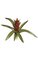 15 inches Guzmania - Natural Touch - 9 Leaves - 1 Flower - 14 inches Width - Green/Red