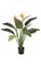 3.5' Bird of Paradise Plant - 8 Leaves - 2 Orange Flowers - 1 Bud - Weighted Base