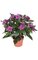 14" Impatiens Bush - 136 Leaves - 16 Flowers - 3 Buds - Dark Lavender