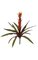 21" Bromeliad - Natural Touch - 13 Leaves - 1 Flower - 24" Width - Green/Red