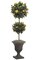 6 feet Hibiscus Artificial Topiary - Double Ball - Natural Trunk - 876 Leaves - 33 Peach Flowers - Weighted Base