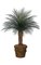 4' Areca Palm Tree - Synthetic Trunk - 33 Green Fronds - Bare Trunk