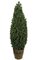 6' Plastic Cedar Tree - 3,416 Green Leaves - 20" Width - Weighted Base