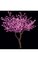 8' Cherry Blossom Christmas Tree - 2,016 Pink 5mm LED Lights - Brown Trunk/Branches