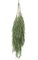 81 inches Willow Tree Top - 1,422 Leaves - Green