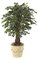 4.5 foot Decor Mini Ficus Tree - Natural Trunks - 2,030 Leaves - Green - Weighted Base