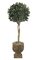 4.5' Artificial Bay Leaf Ball Topiary - Natural Trunks - 1,332 Leaves - Green - Weighted Base