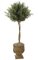 4.5 feet Artificial Olive Ball Topiary - Natural Trunks - 1,536 Leaves - Green - Weighted Base