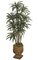 6' Dracaena Warneckii - Natural Trunks - 280 Leaves - 10 Heads - 5 Stems - Green/White - Weighted Base