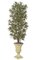 7' Dracaena Reflexa Tree - Natural Trunks - 2,820 Leaves - Green/Yellow - Weighted Base