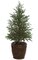 3.5' Plastic Picea Pine Tree - Natural Trunk - 825 Green Tips