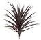 30 inches Plastic Yucca Plant - 35 Leaves - Burgundy - 26 inches Width- FIRE RETARDANT