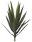 24 inches Outdoor Yucca Plant - 16 Leaves - 9 inches Width - Green- Limited UV Protection