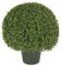 24 inches Plastic Outdoor Boxwood Ball - Green - Wire Frame with Steel Pipe - Weighted Base - UV Resistance