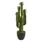 EFV-6630 2.5’ Cactus Artificial Plant