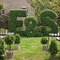 EF-1023 NEW Boxwood Letter topiaries
